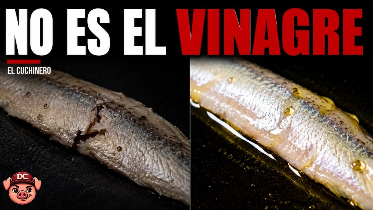 Boquerones en vinagre blancos y firmes en un plato, cubiertos de aceite de oliva con ajo y perejil